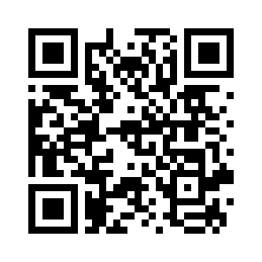 Bug Report QR code