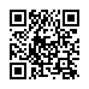 Bug Report QR code