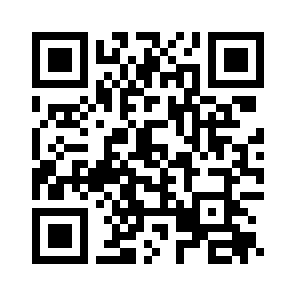 Bug Report QR code
