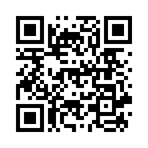 Bug Report QR code