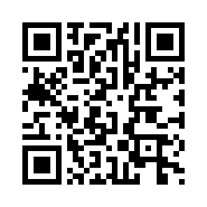 Bug Report QR code