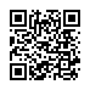 Bug Report QR code