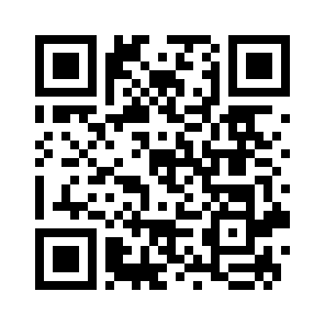 Bug Report QR code
