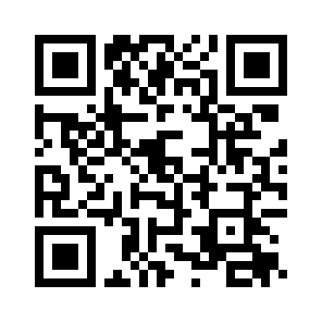Bug Report QR code