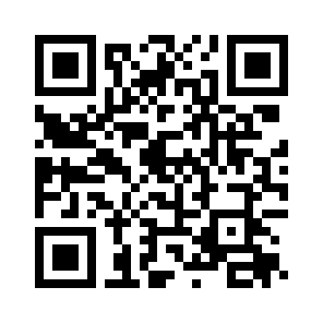 Bug Report QR code