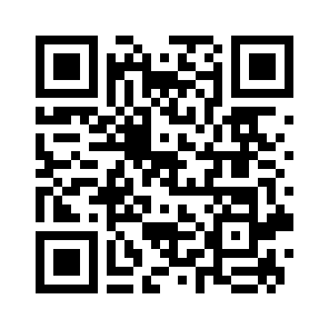 Bug Report QR code