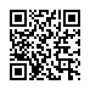 Bug Report QR code