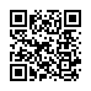 Bug Report QR code