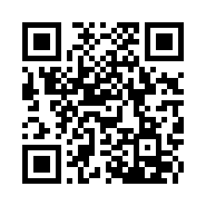 Bug Report QR code