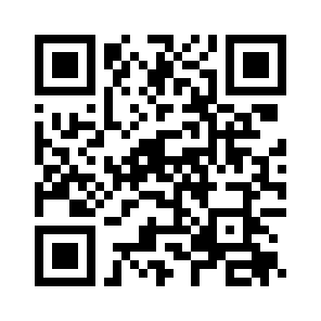 Bug Report QR code