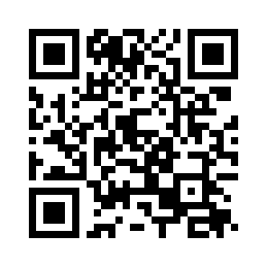 Bug Report QR code