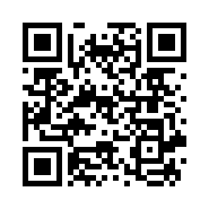Bug Report QR code