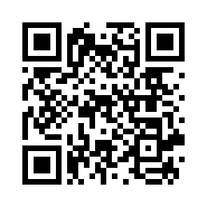 Bug Report QR code