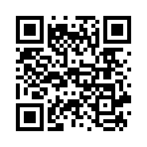 Bug Report QR code