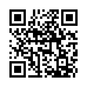 Bug Report QR code