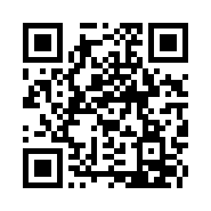 Bug Report QR code