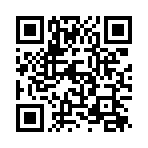 Bug Report QR code