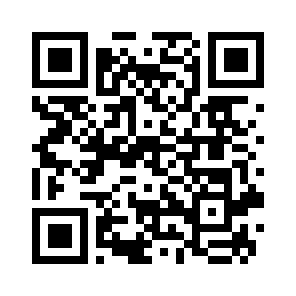 Bug Report QR code