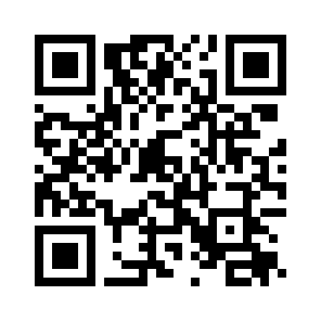 Bug Report QR code