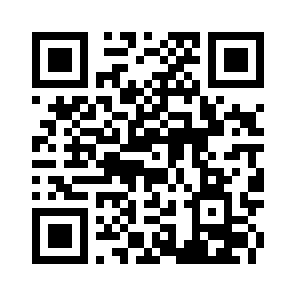 Bug Report QR code
