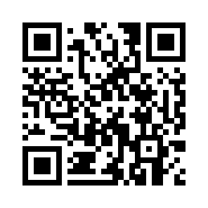 Bug Report QR code