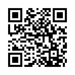 Bug Report QR code